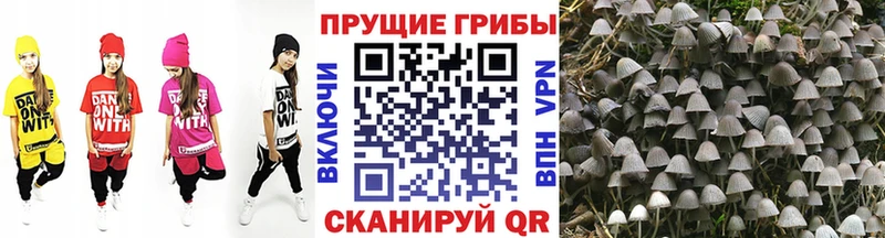 Псилоцибиновые грибы MAGIC MUSHROOMS наркотики Цивильск
